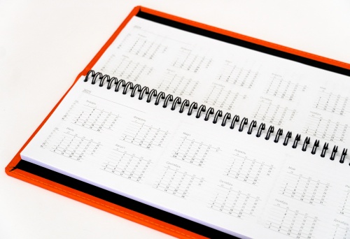 Оранжевый ежедневник-планинг